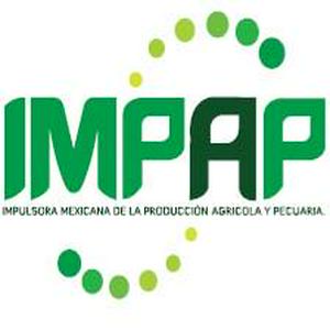 Bolsa de trabajo IMPAP SERVICIOS COMERCIALES