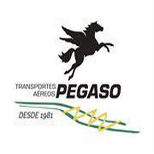 Bolsa de trabajo Transportes Aéreos Pegaso, S.A. de C.V.