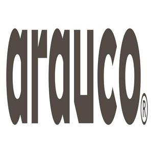 ARAUCO INDUSTRIA DE MEXICO