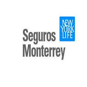 Bolsa de trabajo Seguros Monterrey New York Life (México)