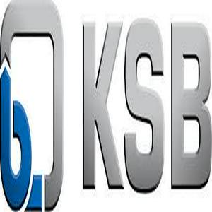 Bolsa de trabajo KSB DE MEXICO, SA DE CV
