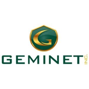 Bolsa de trabajo GEMINET SA DE CV