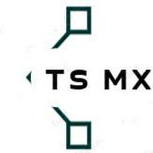 Bolsa de trabajo TS México