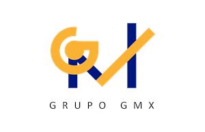 SERVICIOS JF 100 S DE RL DE CV