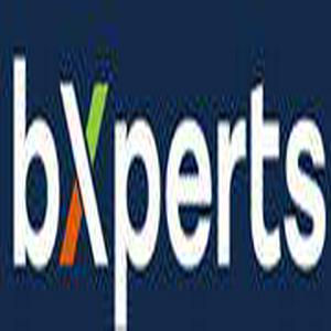 Bolsa de trabajo bXperts