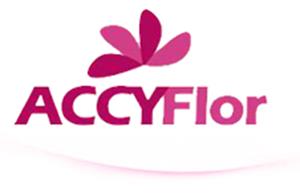 Bolsa de trabajo ACCYMART S.A de C.V
