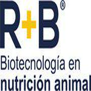 Bolsa de trabajo NUBBA COMERCIAL SA DE CV