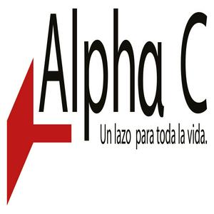 Bolsa de trabajo ALPHA C