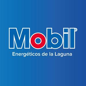 Bolsa de trabajo ENERGETICOS DE LA LAGUNA S.A de C.V.