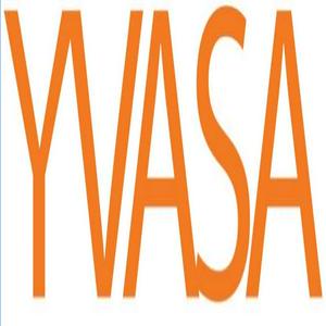 Bolsa de trabajo Constructora YVA SA DE CV
