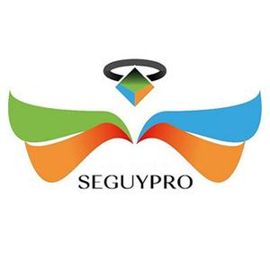 Bolsa de trabajo Seguypro Agente de Seguros