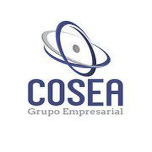 Bolsa de trabajo GRUPO EMPRESARIAL COSEA SC