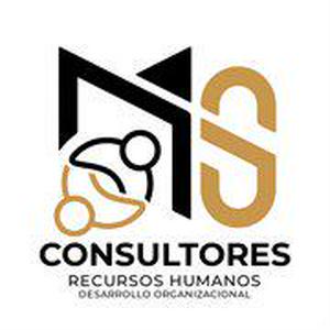 Bolsa de trabajo Ms Consultores