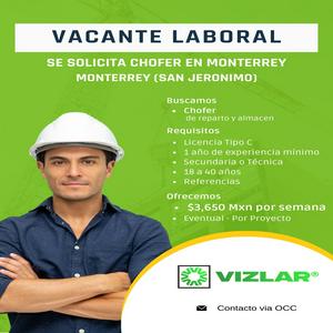 Bolsa de trabajo Vizlar