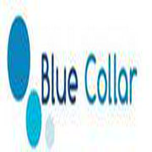 Bolsa de trabajo Blue Collar Consulting