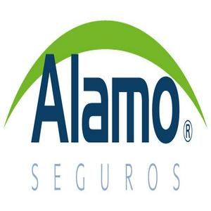 Bolsa de trabajo Alamo Seguros