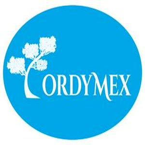 Bolsa de trabajo cordymex
