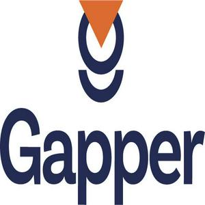 Bolsa de trabajo Gapper 24, Agente de Seguros y de Fianzas SA de CV