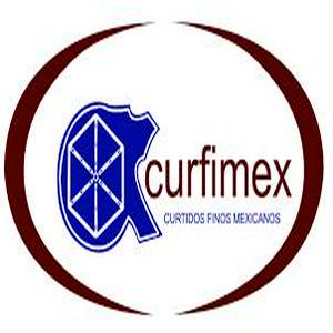 Bolsa de trabajo Curfimex SA de CV