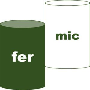 Fermic