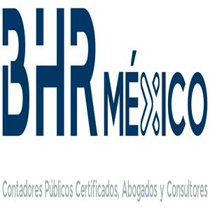 Bolsa de trabajo BHR ENW MEXICO GROUP, S.C.