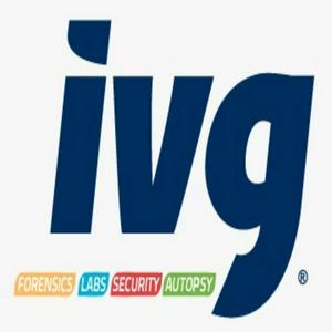 Bolsa de trabajo IVG COMERCIALIZADORA SA DE CV