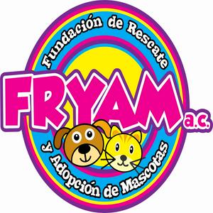 Bolsa de trabajo Fryam, a.c