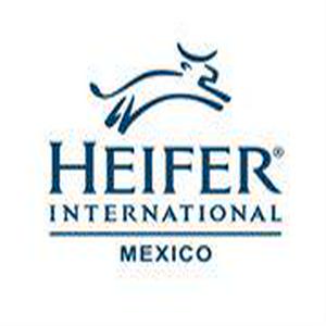 Bolsa de trabajo Proyecto Heifer Internacional Incorporado