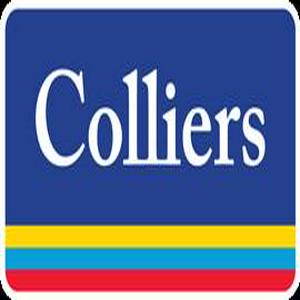 Bolsa de trabajo Colliers International