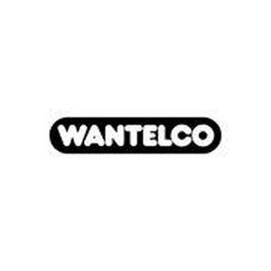 Bolsa de trabajo Wantelco