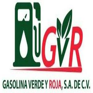 Bolsa de trabajo GASOLINA VERDE Y ROJA