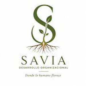 Bolsa de trabajo Savia Desarrollo Organizaciona