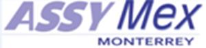 Bolsa de trabajo ASSYMEX  MONTERREY SA DE CV