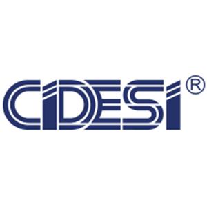Bolsa de trabajo CIDESI