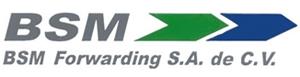 Bolsa de trabajo BSM FORWARDING SA DE CV